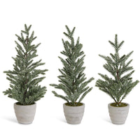 Snowy Pine Trees in Grey Cement Pots