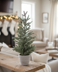 Snowy Pine Trees in Grey Cement Pot