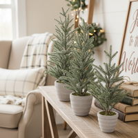 Snowy Pine Trees in Grey Cement Pot