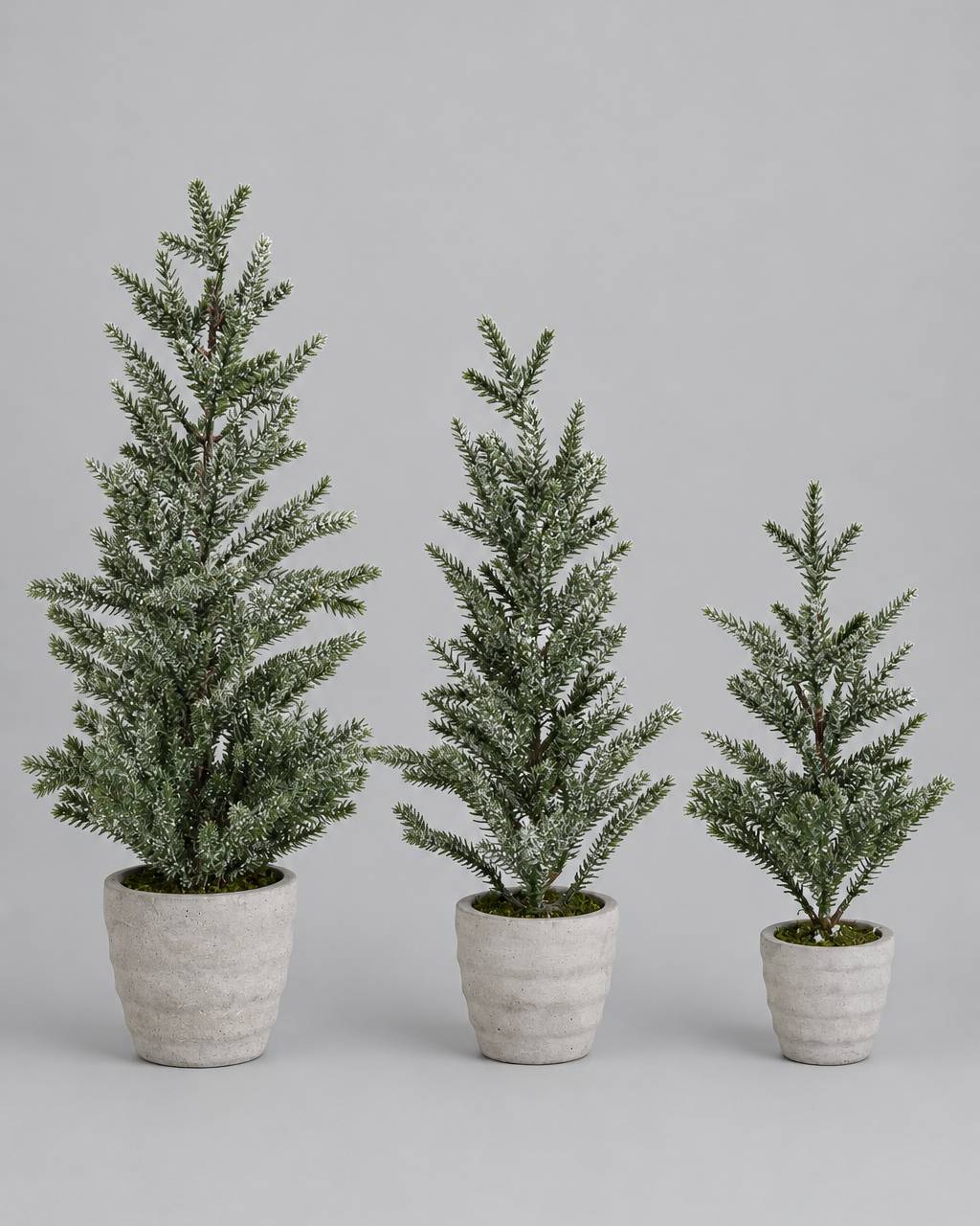 Snowy Pine Trees in Grey Cement Pot