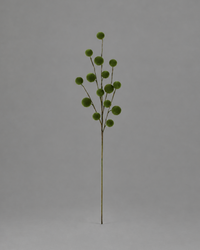 Velvet Ball Stem Green 23.5"