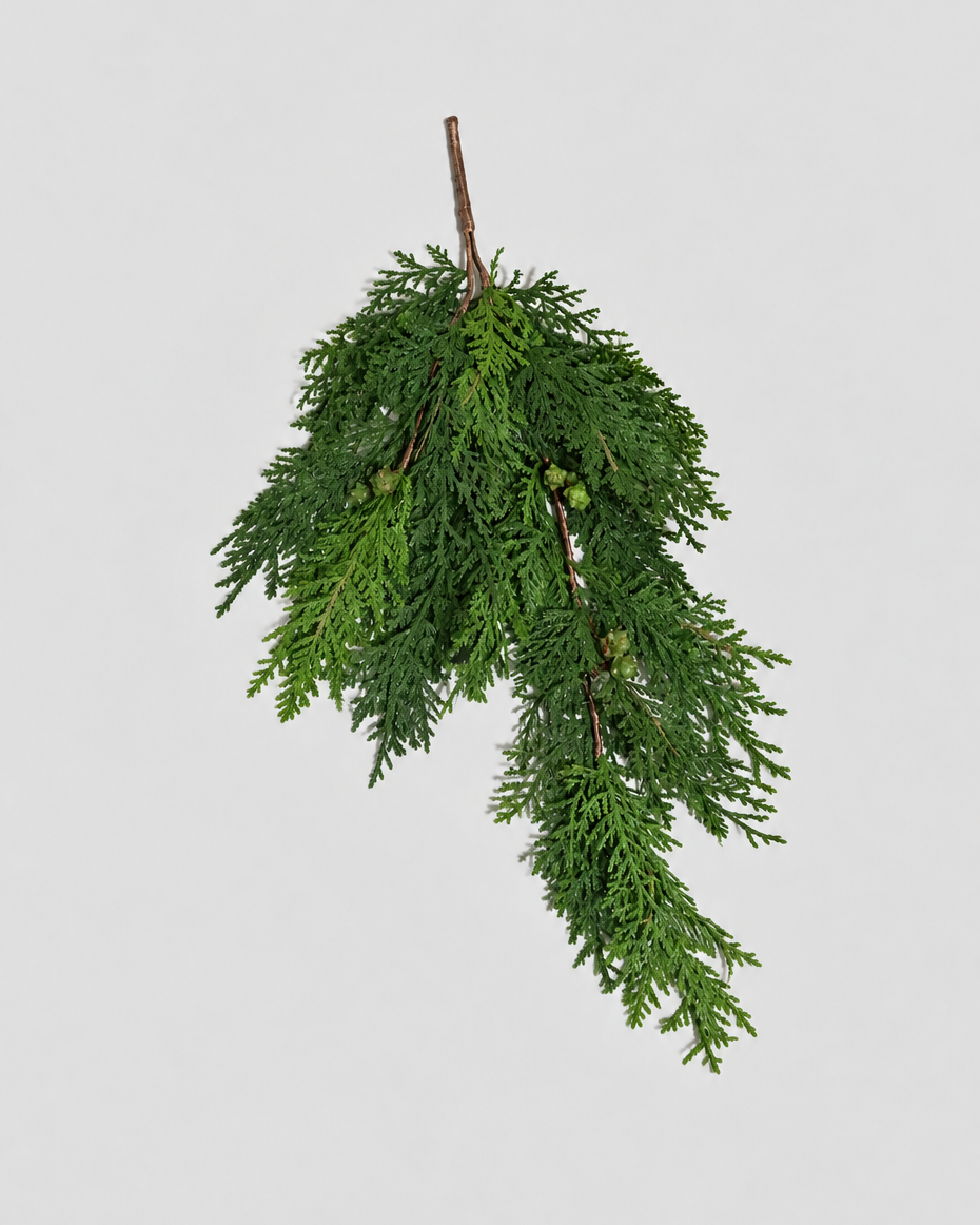 Northern White Cedar Collection Real Touch