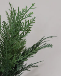 Northern White Cedar Collection Real Touch