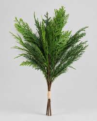 Northern White Cedar Collection Real Touch