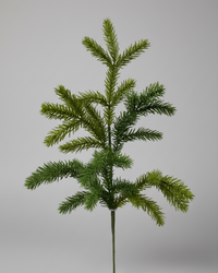 Red Spruce Collection Real Touch