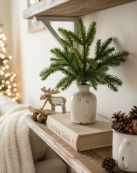 Red Spruce Collection Real Touch