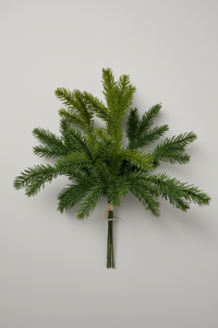 Red Spruce Collection Real Touch