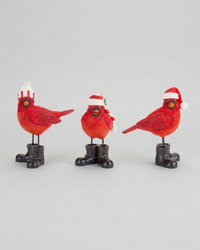 Cardinal With Boots and Toque