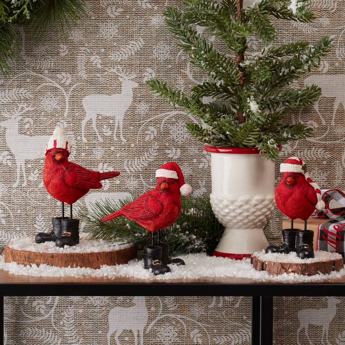 Cardinal With Boots and Toque