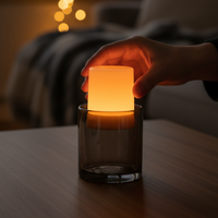 LED Flame Candle Warm Glow