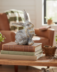 Whitewashed Brown Resin Bunny