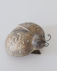 Botanical Tabletop Insect