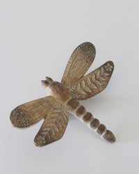 Botanical Tabletop Insect