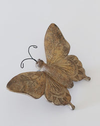 Botanical Tabletop Insect