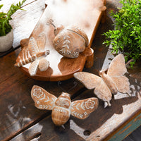 Botanical Tabletop Insect