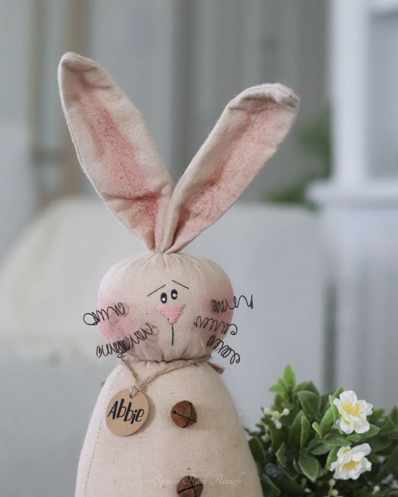 Abbie the Bunny