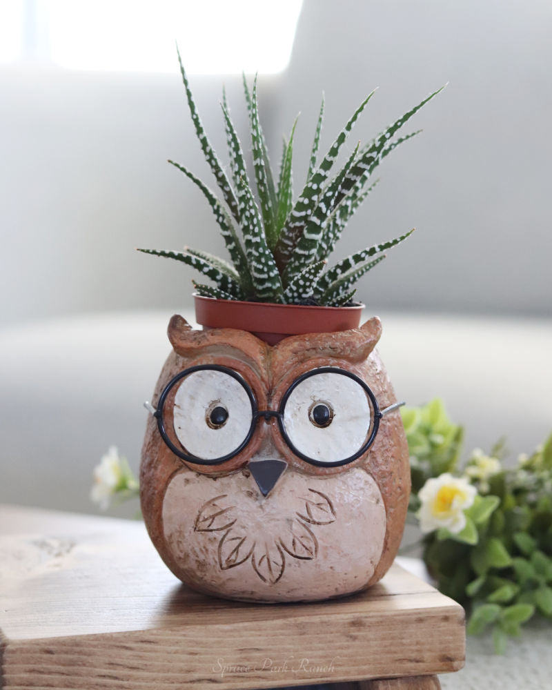 Animal Friends Drop Pot Planter