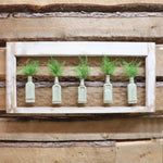 Antique Window With Bottles