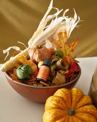 Aromatique Pumpkin Spice Collection