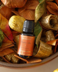 Aromatique Pumpkin Spice Collection