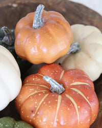 Assorted Mini Filler Pumpkins