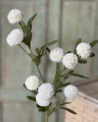 Flitter Poms Bush Cream 29"L