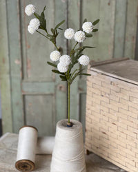 Flitter Poms Bush Cream 29"L