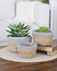 Cotton Rope Grass Mini Basket With Grey Trim