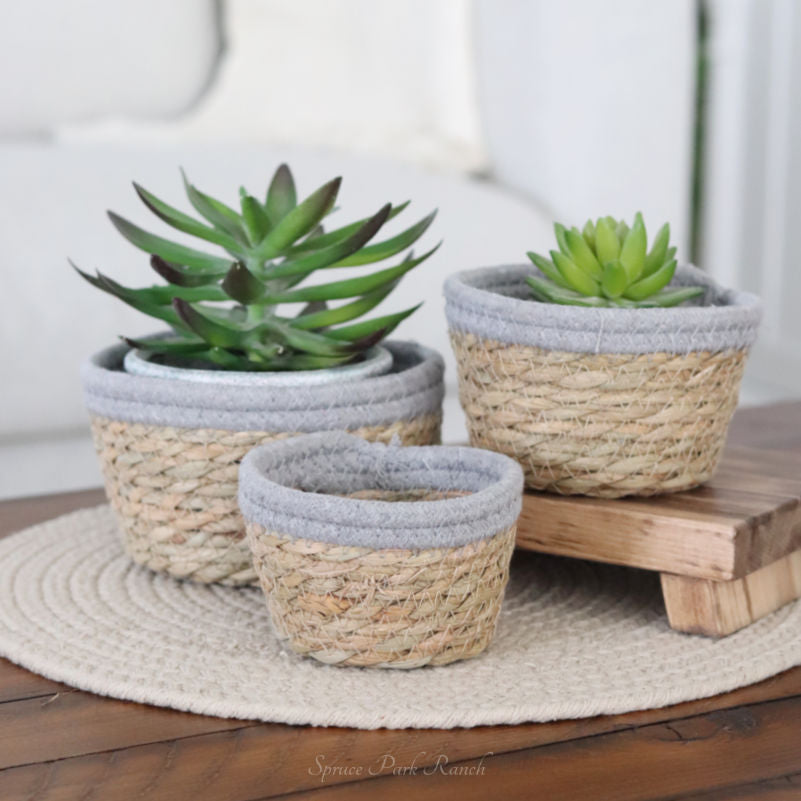Cotton Rope Grass Mini Basket With Grey Trim