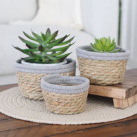 Cotton Rope Grass Mini Basket With Grey Trim