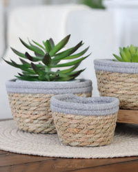 Cotton Rope Grass Mini Basket With Grey Trim