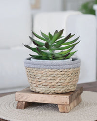 Cotton Rope Grass Mini Basket With Grey Trim