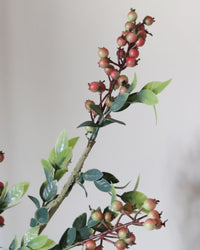 Berry Stem Pomegranate 30.5"
