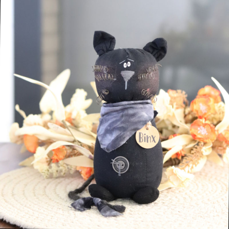 Binx the Cat