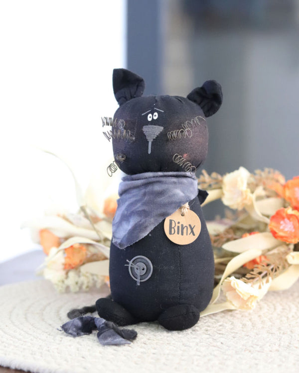 Binx the Cat