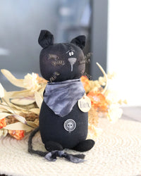 Binx the Cat
