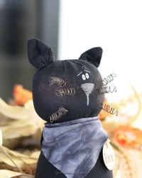 Binx the Cat