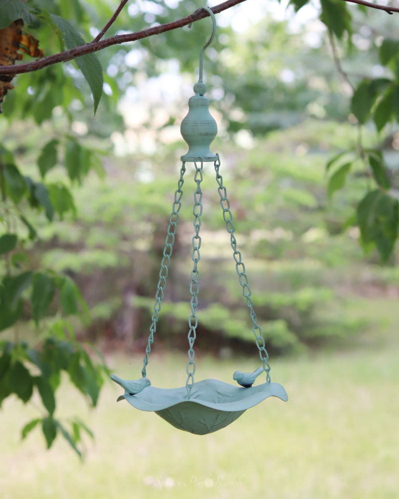 Hanging Bird Feeder Teal