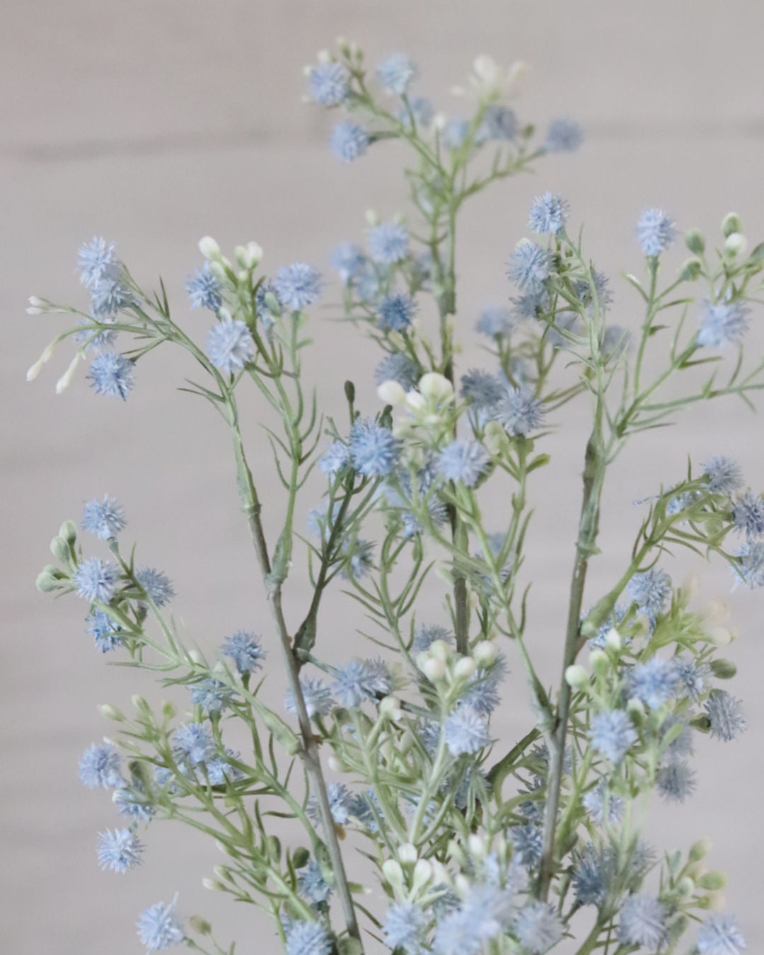 Blue Baby's Breath and White Berry Spray 26"