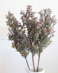 Powdered Green and Purple Boxwood Stem 29.5"