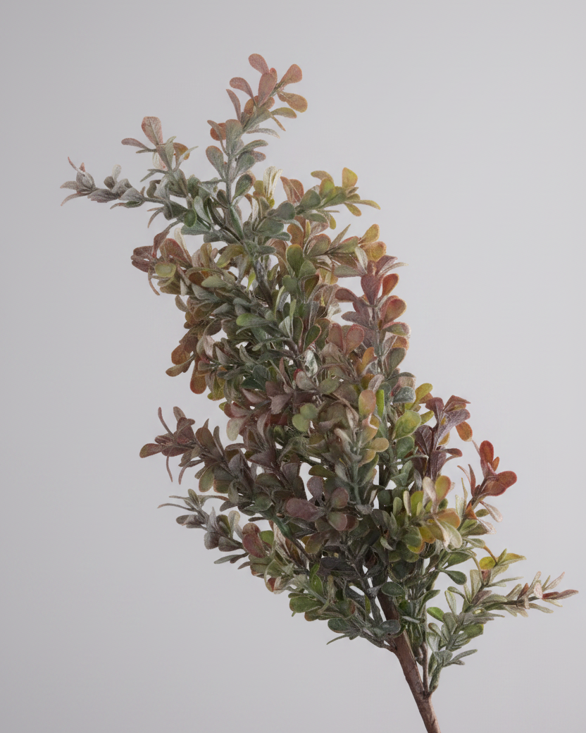 Powdered Green and Purple Boxwood Stem 29.5"
