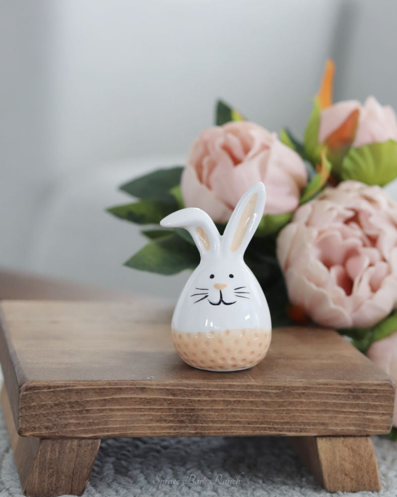 Dolomite Bunny With Textured Coloured Stripe