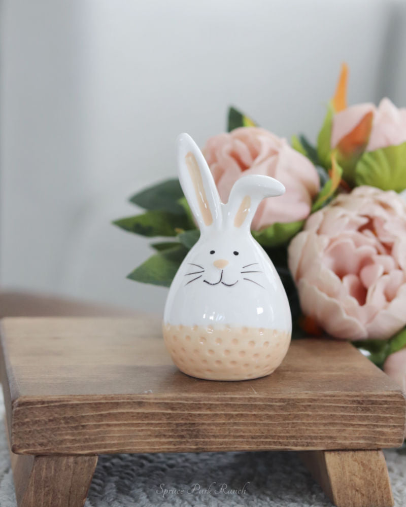 Dolomite Bunny With Textured Coloured Stripe