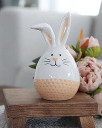 Dolomite Bunny With Textured Coloured Stripe