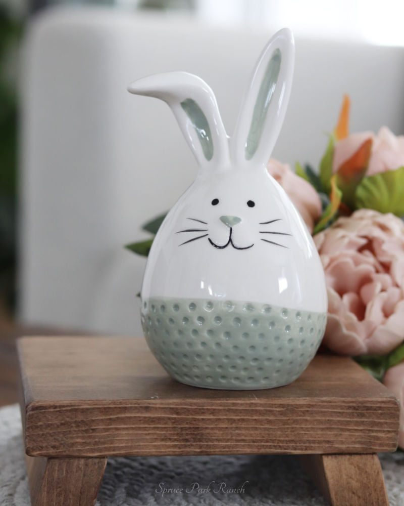 Dolomite Bunny With Textured Coloured Stripe