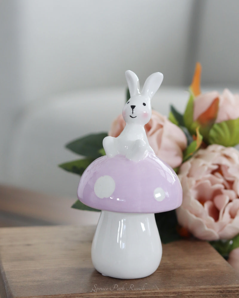 Dolomite Mushroom With Bunny