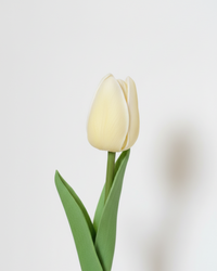 Tulip Real Touch Buttercream Stem 10.5"