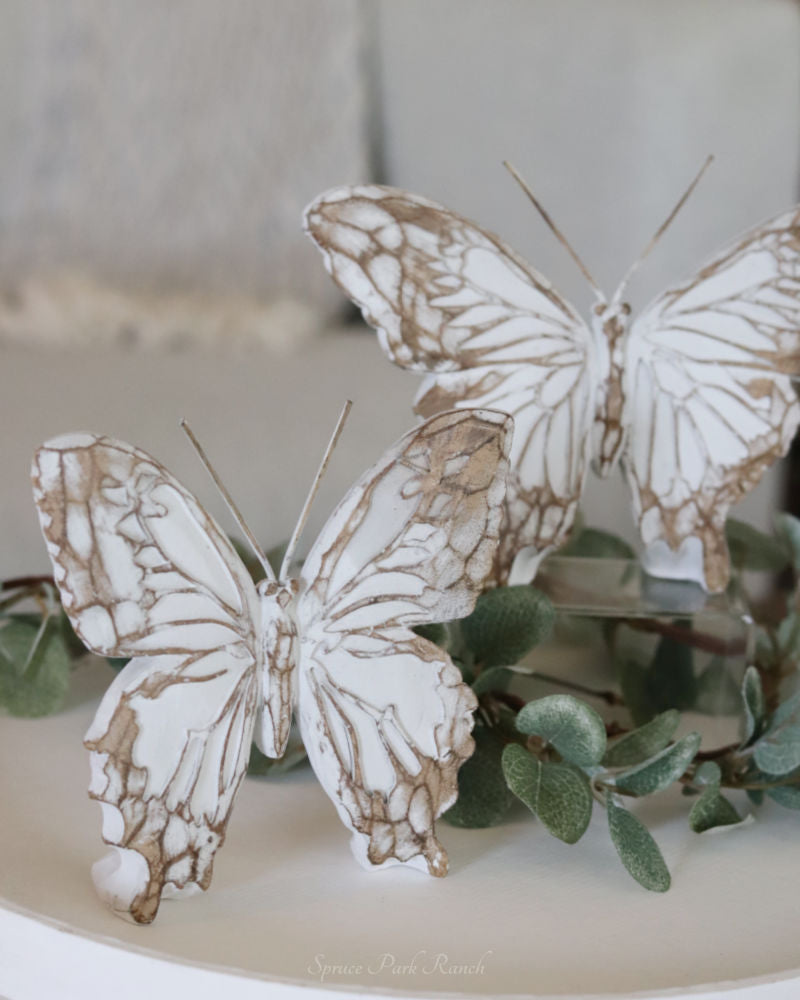 Whitewashed Tabletop Butterfly
