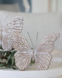 Natural Tabletop Butterfly