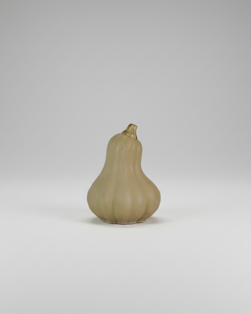 Butternut Concrete Mini Gourd